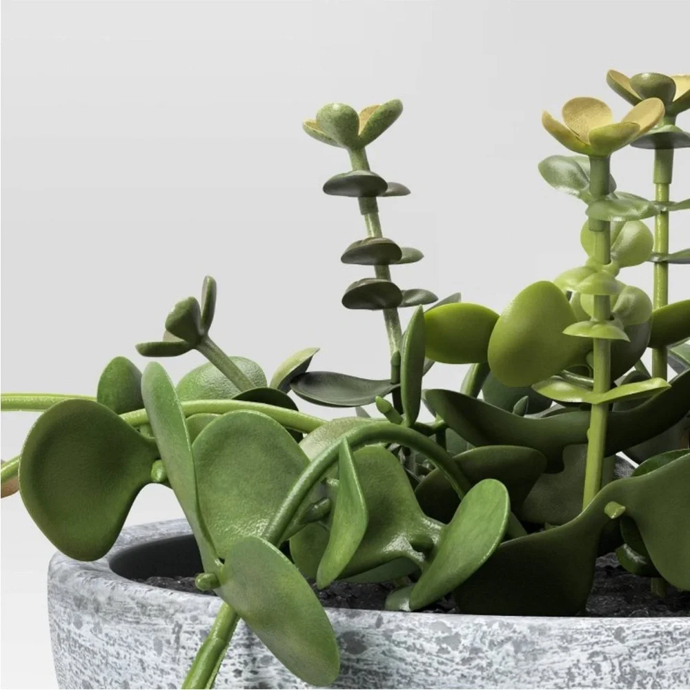 STUDIO MCGEE NWT trailing sedum faux plant -10” - Picture 6 of 6